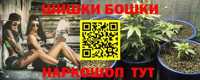 прущие крисы Будённовск