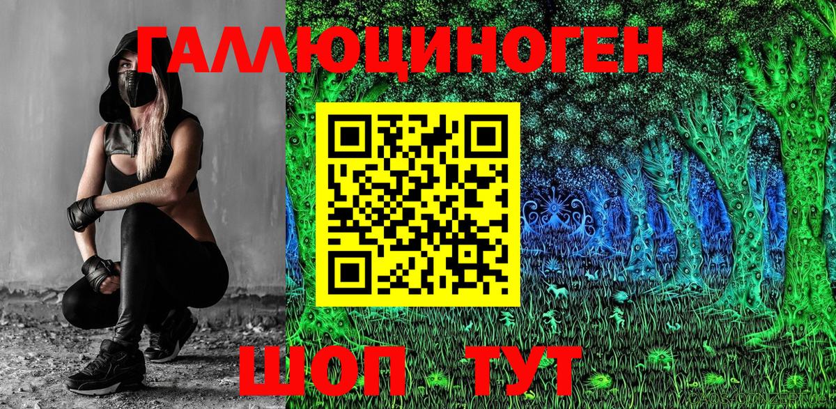 Псилоцибиновые грибы GOLDEN TEACHER Рославль